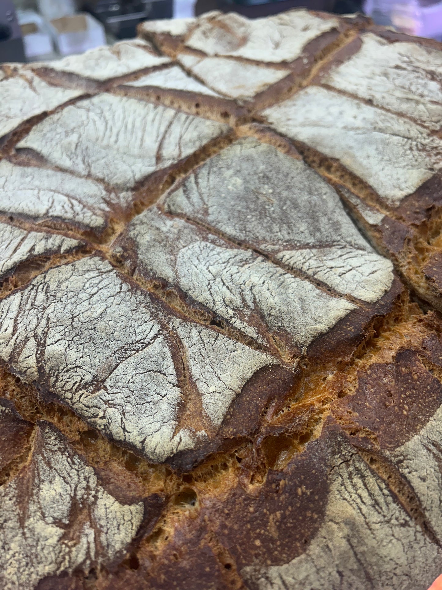 Pane Cafone - Emanuel 2